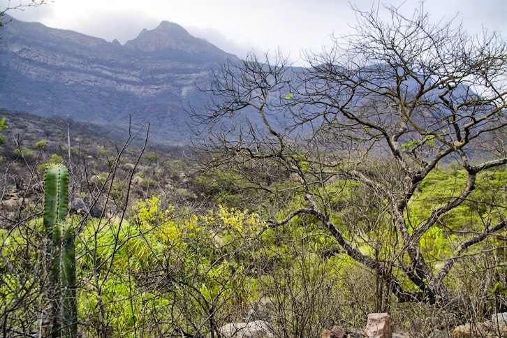 Chaparri Nature Reserve 3