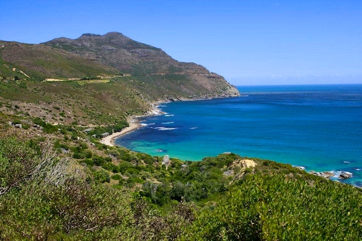 Cape Point and Peninsula Tour full day 2