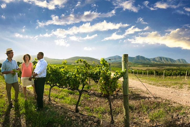 Winelands Tour full day 2