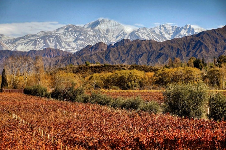 Backdrop of the Andes 