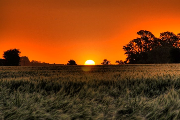 Estancia El Ombú 10