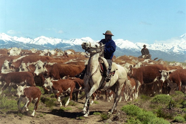 Estancia Huechahue 3