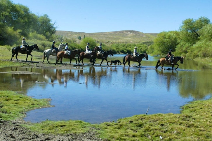 Estancia Huechahue 5