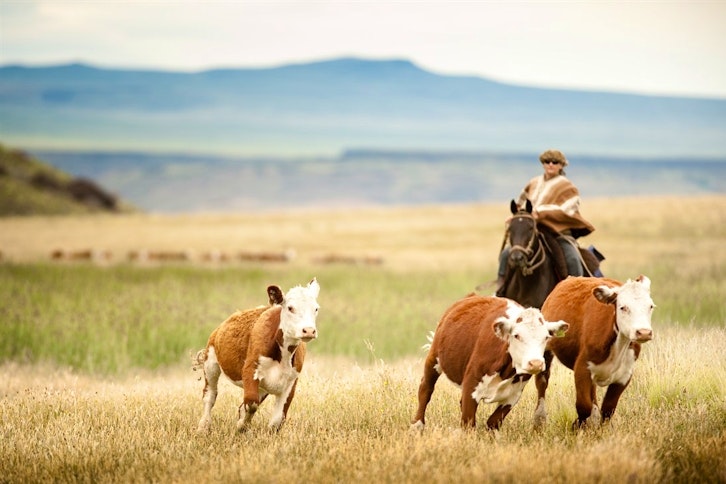 Estancia Huechahue 8
