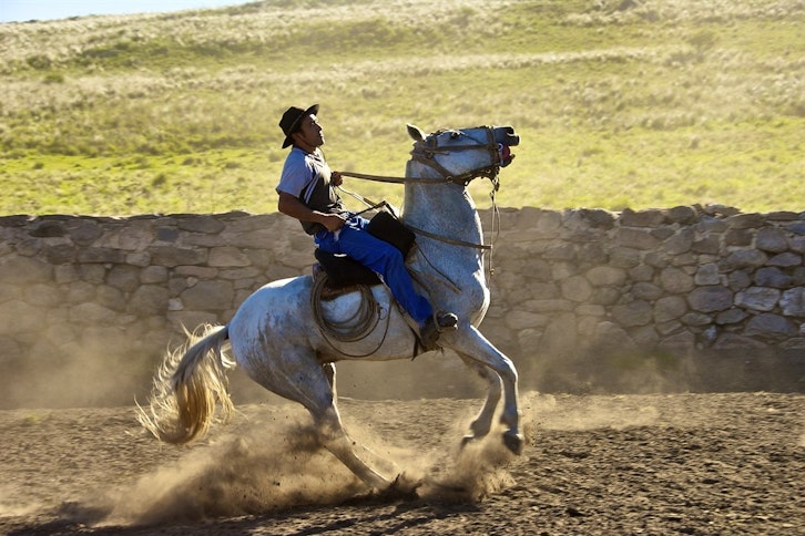 Estancia Los Potreros 2