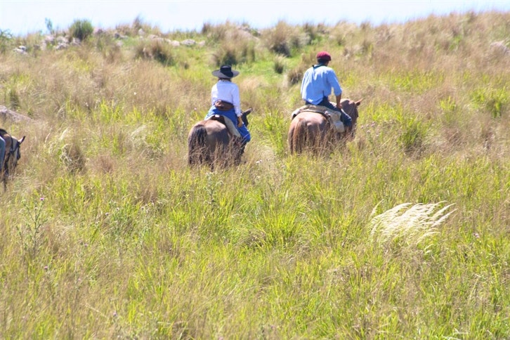 Estancia Los Potreros 9