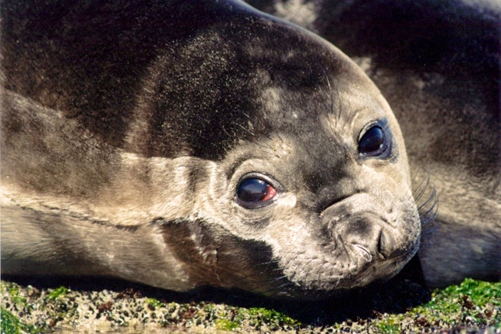 Estancia Rincon Chico 6