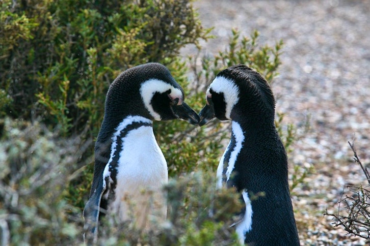 Faro Punta Delgada 2