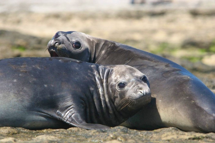 Faro Punta Delgada 9