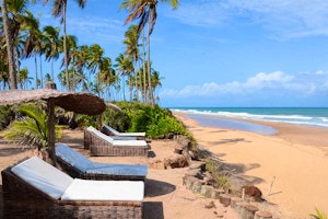 Butterfly House image 1