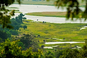 Sanctuary Chobe Chilwero image 1
