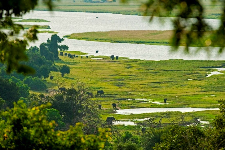 Sanctuary Chobe Chilwero 1