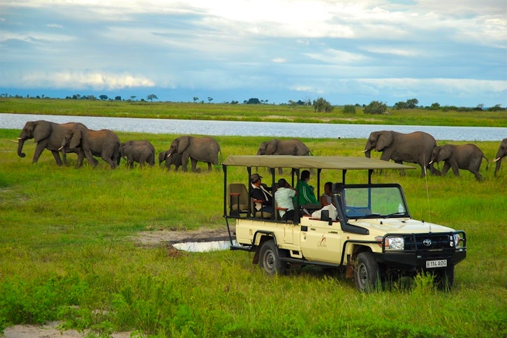Sanctuary Chobe Chilwero 9