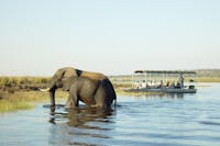 Chobe Elephant Camp