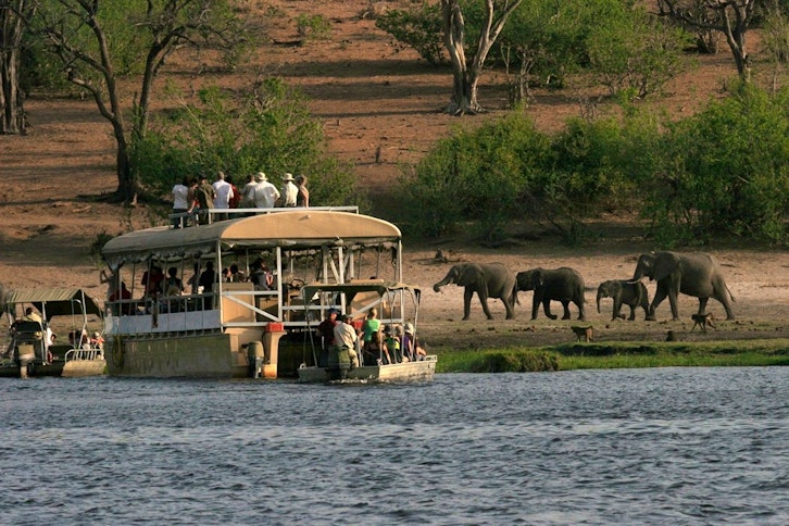 Chobe Elephant Camp