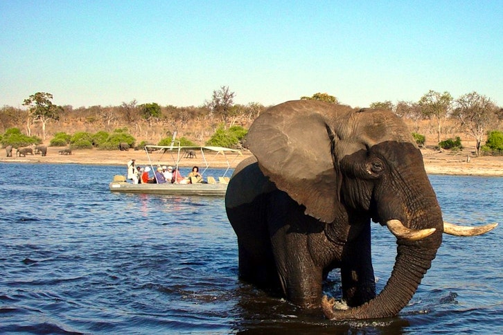 Chobe Elephant Camp