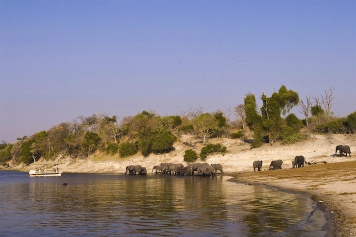 Chobe Under Canvas