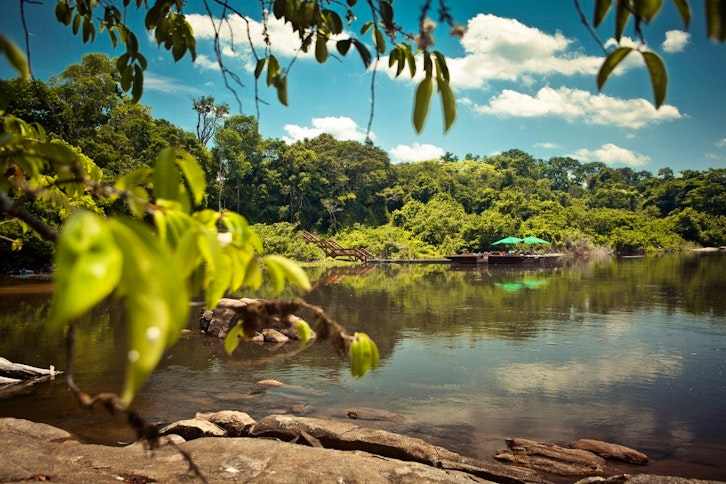 Submerge yourself in the nature of the Amazon