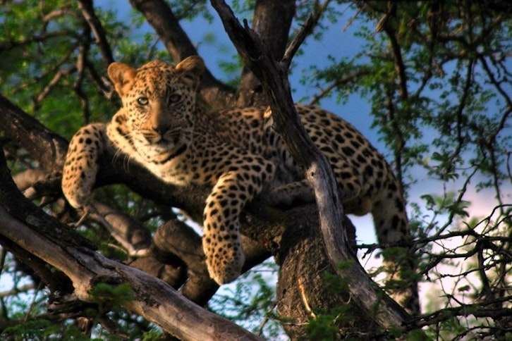 Deception Valley Lodge 3