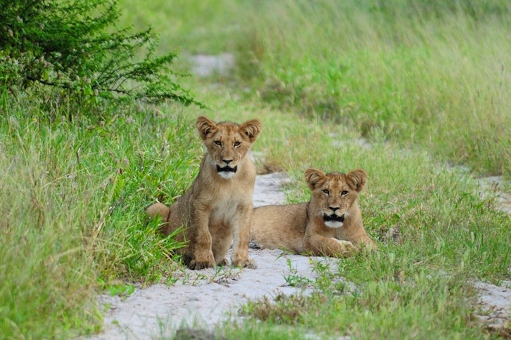 Deception Valley Lodge 4