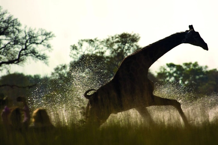 Belmond Eagle Island Lodge 7