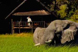 Belmond Khwai River Lodge image 1