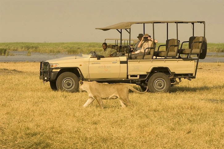 Linyanti Bush Camp 3