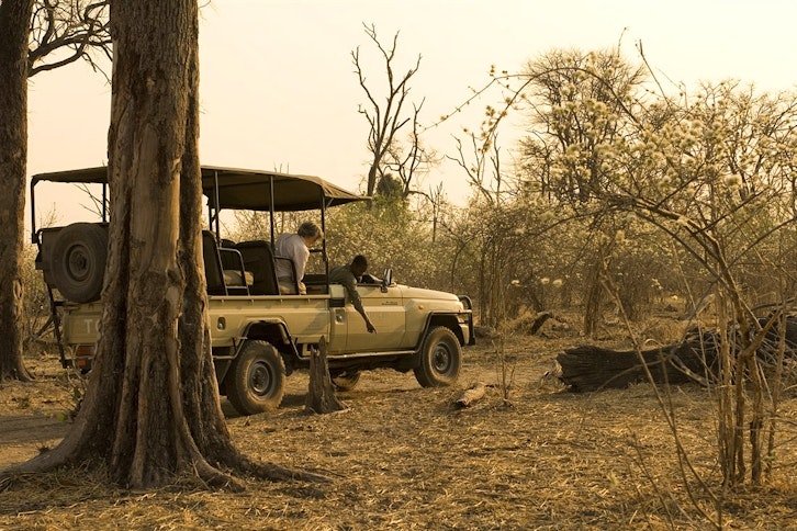 Linyanti Bush Camp 5