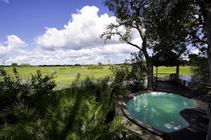 Little Mombo Camp image 1