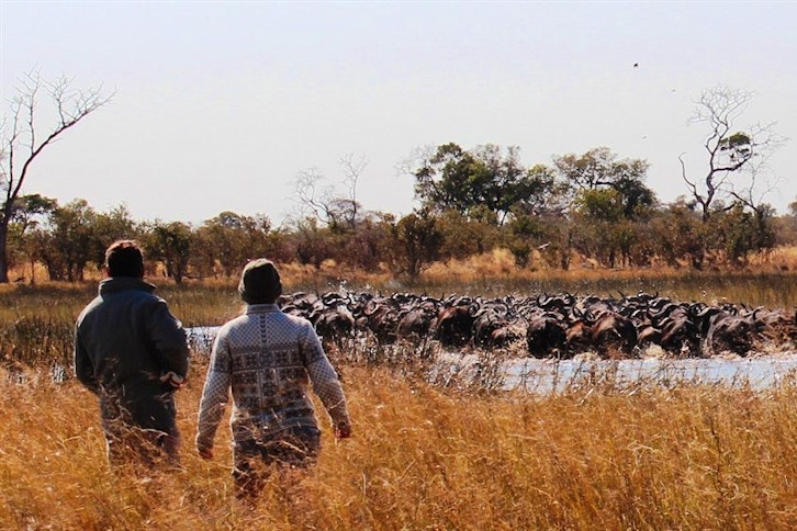 Motswiri Camp, Selinda Reserve 11