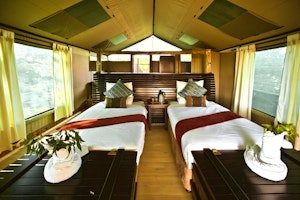 Pom Pom Camp image 1