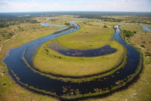 Selinda Camp image 1