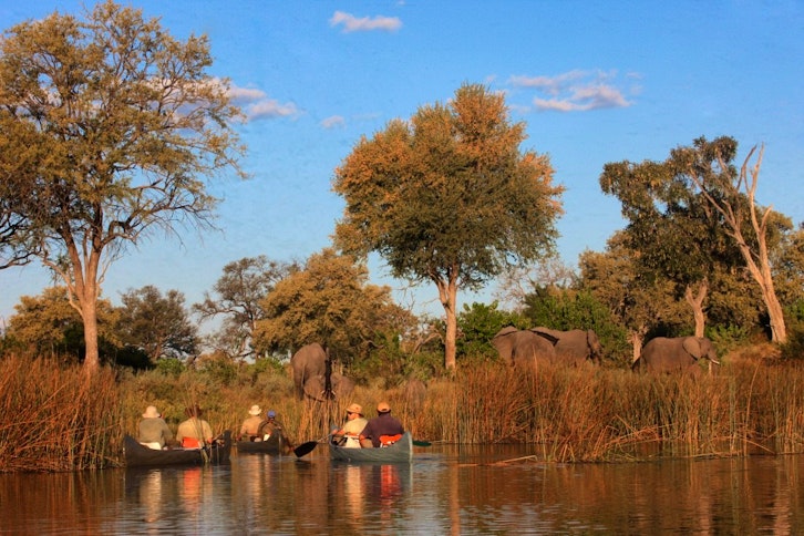 Selinda Canoe Trail 1