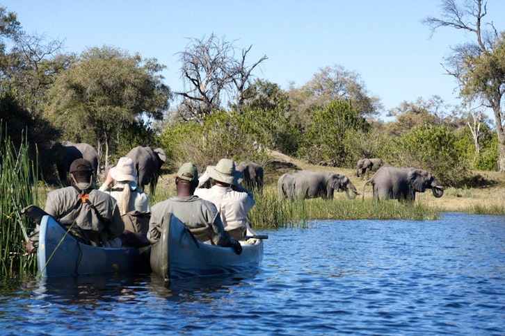 Selinda Canoe Trail 2