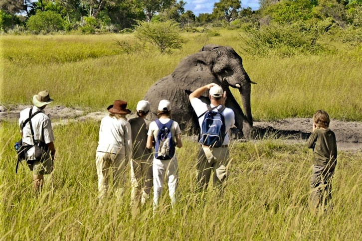 Sanctuary Stanley's Camp 10