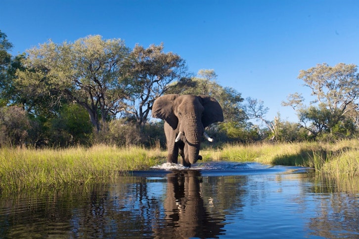 Sanctuary Stanley's Camp 3