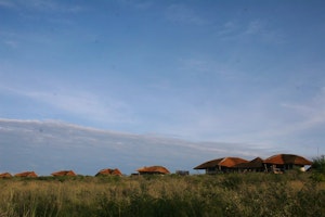 Tau Pan Camp image 1