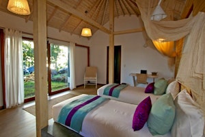 Altiplanico Rapa Nui image 1