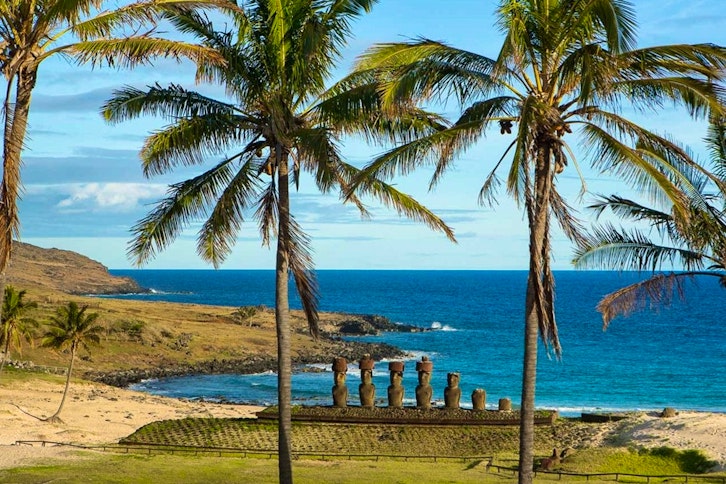 Altiplanico Rapa Nui