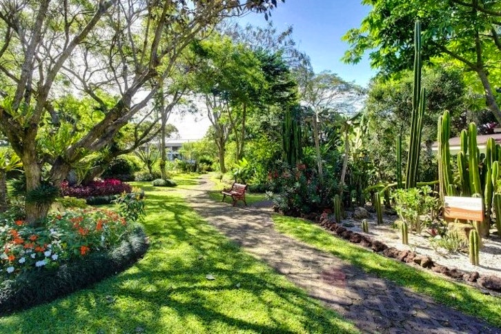 Bougainvillea Hotel 5