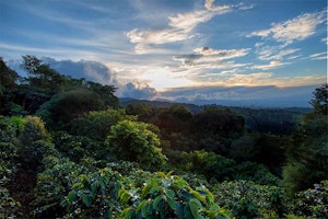 Chayote Lodge image 1