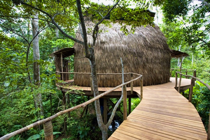 Lango Camp, Odzala-Kokoua National Park
