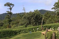 Trapp Family Hotel, gardens