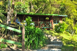 Trogon Lodge image 1