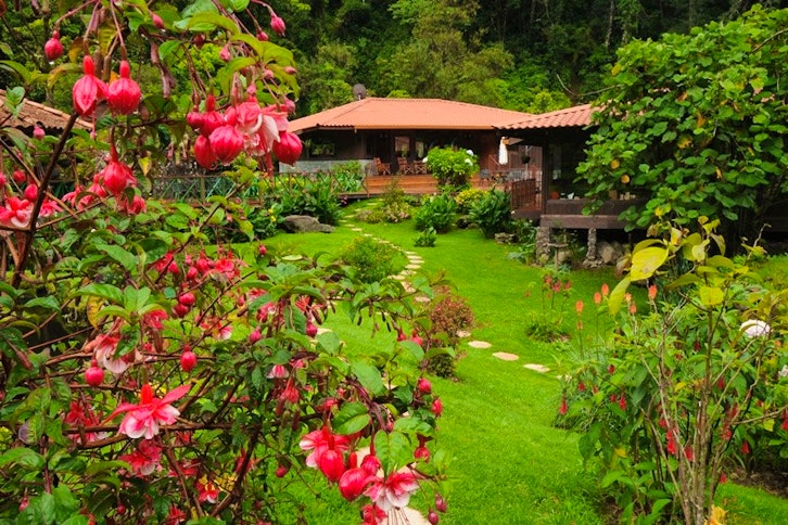 Trogon Lodge 3