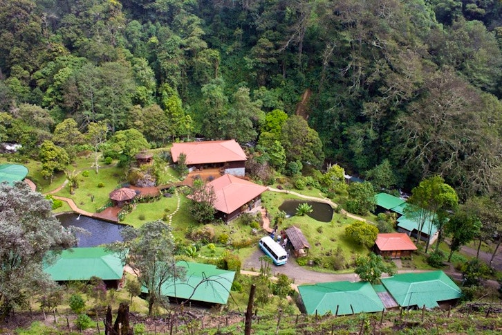 Trogon Lodge 5