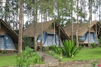 Eco Omo Safari Lodge