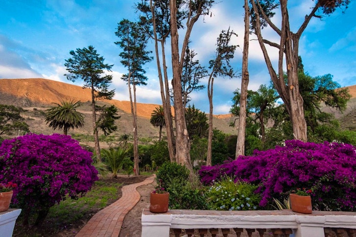Hacienda Piman - gardens