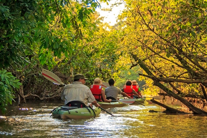 Manatee Amazon Explorer