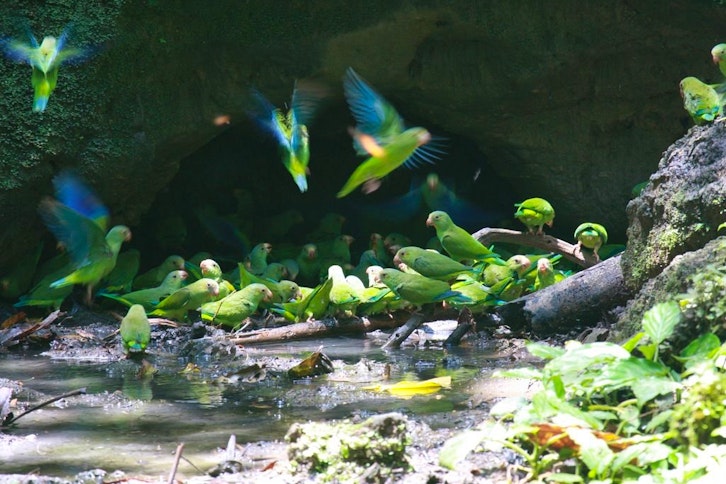 Napo Wildlife Centre